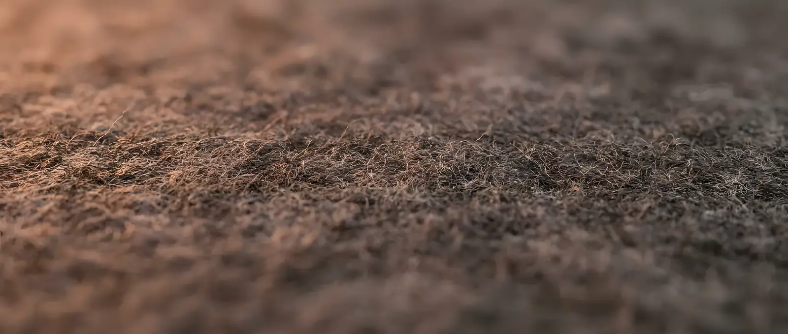 Close-up of recycled PET felt fibres: a healthy acoustic material with no mineral wool